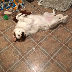 Meet your Posher, Frank